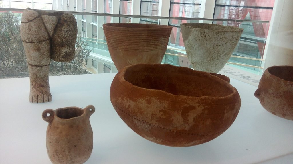 museo-evolucion-humana-2