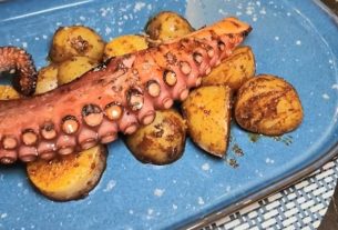 pulpo-coco-garden-parla