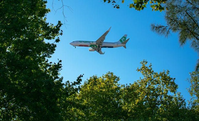 Cómo-Contactar-con-Aeromar
