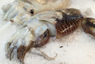 Cómo-Hacer-Calamares-Rellenos