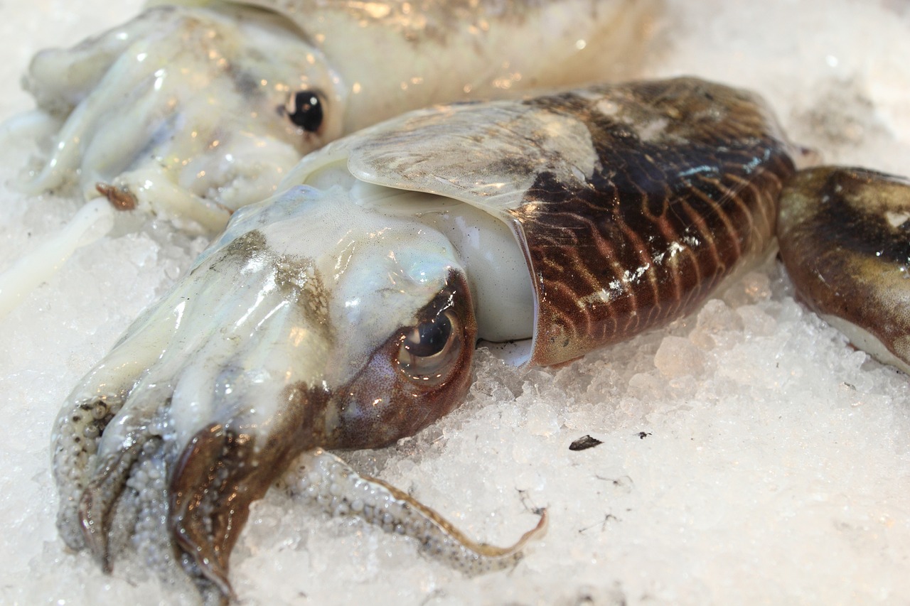 Cómo-Hacer-Calamares-Rellenos