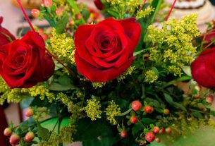 como-contactar-con-colvin