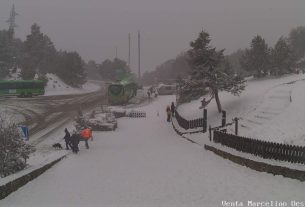 webcam cotos venta marcelino