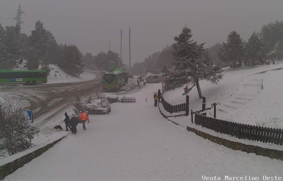 webcam cotos venta marcelino