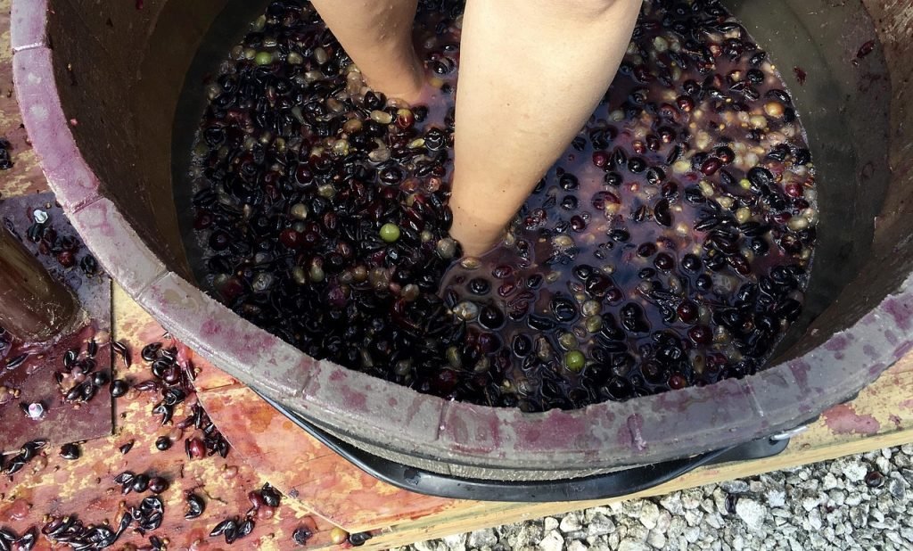 feria-del-vino-valencia-2025