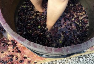 feria-del-vino-valencia-2025