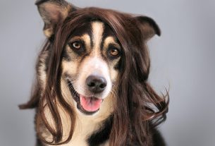 cuando-es-el-dia-de-los-inocentes-en-estados-unidos