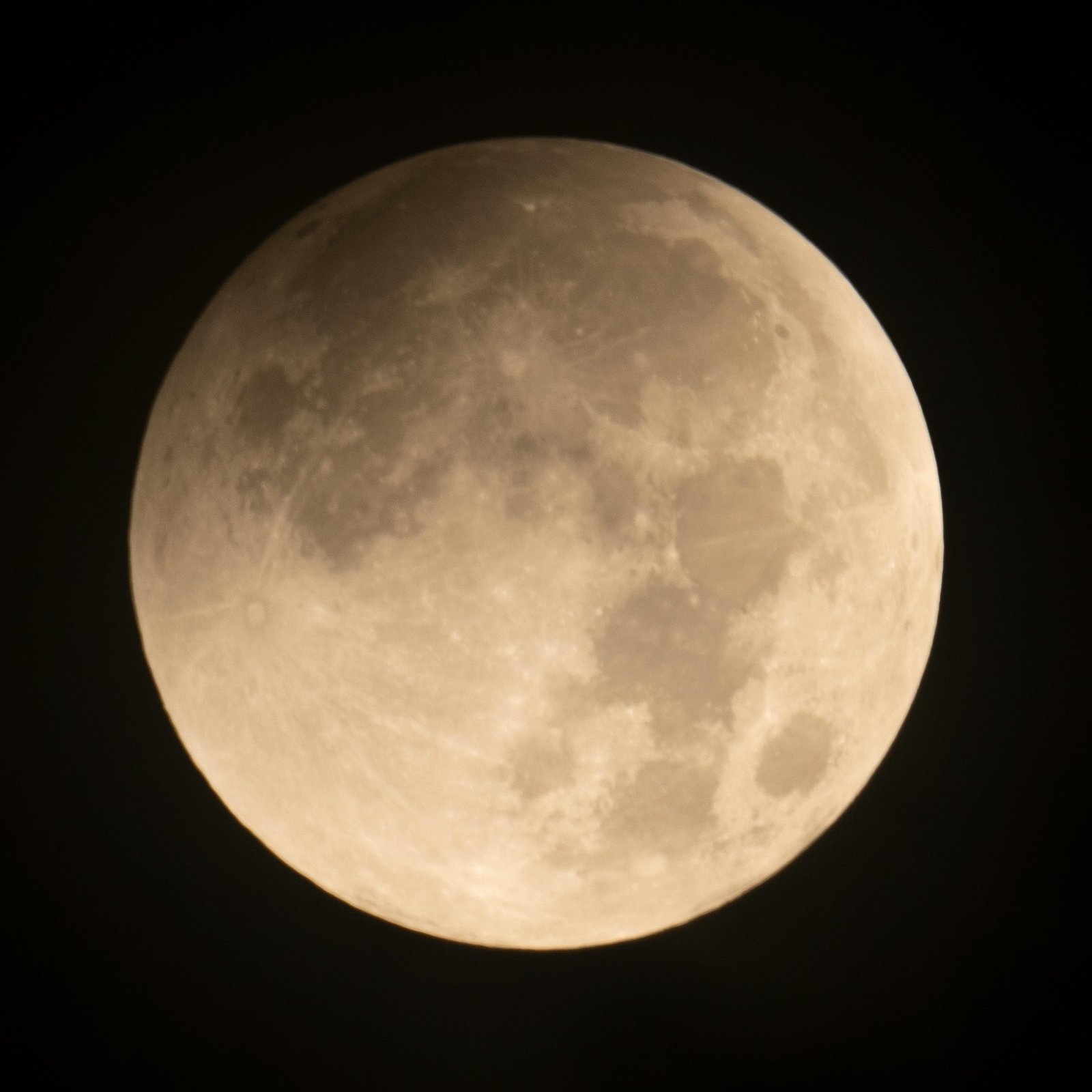 Detailed close-up view of the full moon against a dark sky. Perfect celestial capture.