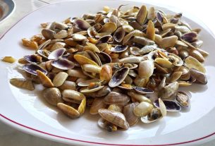 que-son-las-coquinas