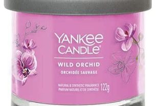 mejor-ambientador-para-bano-2025